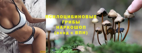 сатива Навашино