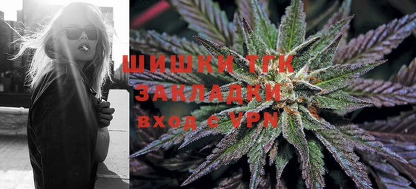 сатива Навашино