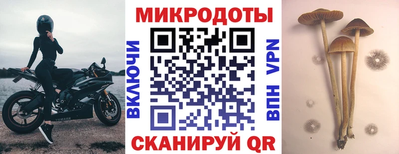 Псилоцибиновые грибы Magic Shrooms  закладка  Красково 